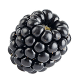 Berry