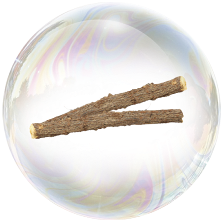 Licorice (Glycyrrhiza) 