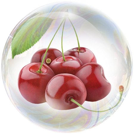 Cherry (Prunus avium)